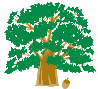 preschool singapore expert