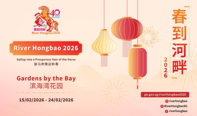 preschool singapore expert